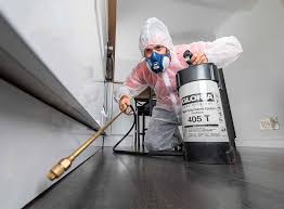 Best Fumigation Services  in Mccoll, SC